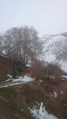 تهران-پارک-جنگلی-کوهسار-189278