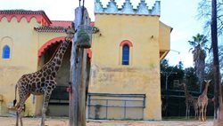 باغ وحش لیسبون Lisbon Zoo (Jardim Zoologico de Lisboa)