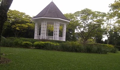 سنگاپور-باغ-گیاه-شناسی-سنگاپور-Singapore-Botanic-Gardens-190022