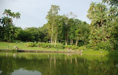 سنگاپور-باغ-گیاه-شناسی-سنگاپور-Singapore-Botanic-Gardens-190015