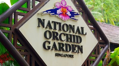 سنگاپور-باغ-ملی-ارکیده-National-Orchid-Garden-190036