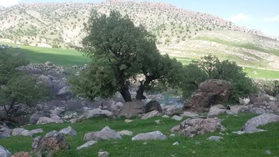 دره-شهر-روستای-کلم-190192