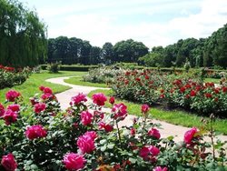 باغ گیاه شناسی ملی کی یف Hryshko National Botanical Garden