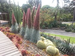 باغ سلطنتی گیاه شناسی ملبورن Royal Botanic Gardens Melbourne