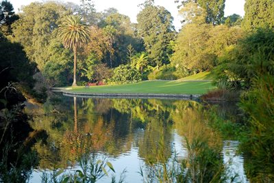 ملبورن-باغ-سلطنتی-گیاه-شناسی-ملبورن-Royal-Botanic-Gardens-Melbourne-194397