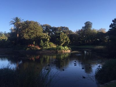 باغ سلطنتی گیاه شناسی ملبورن Royal Botanic Gardens Melbourne