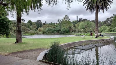 ملبورن-باغ-سلطنتی-گیاه-شناسی-ملبورن-Royal-Botanic-Gardens-Melbourne-194403
