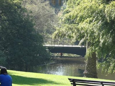 ملبورن-باغ-سلطنتی-گیاه-شناسی-ملبورن-Royal-Botanic-Gardens-Melbourne-194408