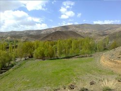 روستای وار