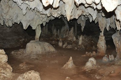 زنگبار-غارهای-کیونگوا-Kiwengwa-Caves-194798
