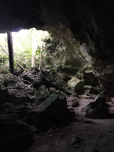 زنگبار-غارهای-کیونگوا-Kiwengwa-Caves-194802