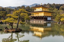 معبد غرفه طلایی Rokuon-ji Temple