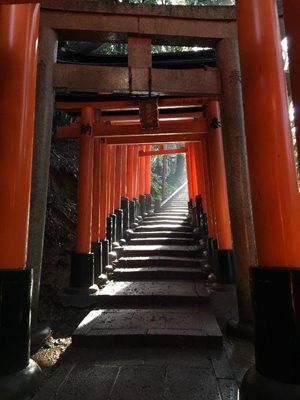 کیوتو-معبد-فوشیمی-ایناری-Fushimi-Inari-taisha-Shrine-195219