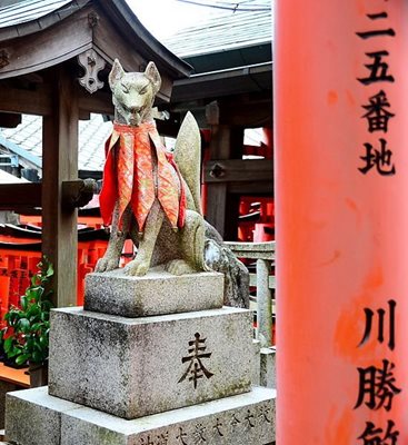 کیوتو-معبد-فوشیمی-ایناری-Fushimi-Inari-taisha-Shrine-195214