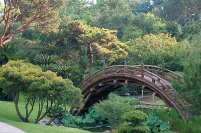 کیوتو-باغ-گیاه-شناسی-کیوتو-Kyoto-Botanical-Garden-195239