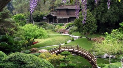 کیوتو-باغ-گیاه-شناسی-کیوتو-Kyoto-Botanical-Garden-195238