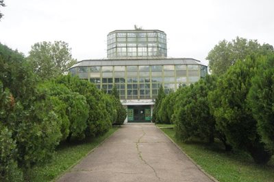 بخارست-باغ-گیاه-شناسی-The-Botanical-Garden-195885