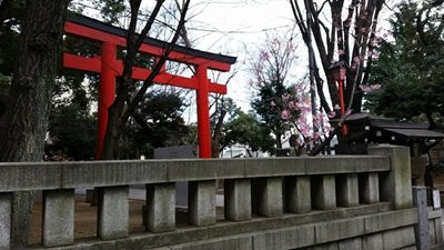 توکیو-معبد-هانازونو-Hanazono-Shrine-200240