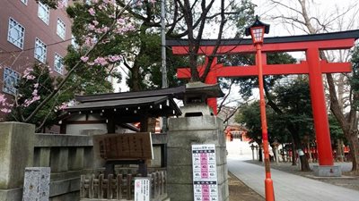 توکیو-معبد-هانازونو-Hanazono-Shrine-200251