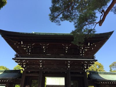 توکیو-معبد-میجی-جینگو-Meiji-Jingu-200310