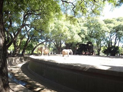 بوینس-آیرس-باغ-وحش-بوینس-آیرس-Zoo-Buenos-Aires-201211