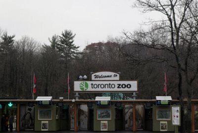 تورنتو-باغ-وحش-تورنتو-Toronto-Zoo-201343