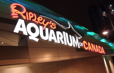 تورنتو-آکواریوم-ریپلی-کانادا-Ripley-s-Aquarium-Of-Canada-201544