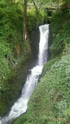 تنکابن-کافه-آبشار-208439
