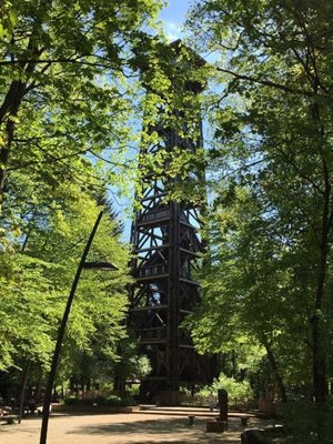 فرانکفورت-برج-گوته-Goetheturm-209891