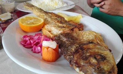 کیاشهر-رستوران-شیلات-209976