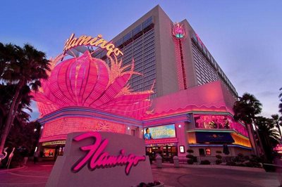 لاس-وگاس-هتل-فلامینگو-Flamingo-Las-Vegas-Hotel-Casino-211655