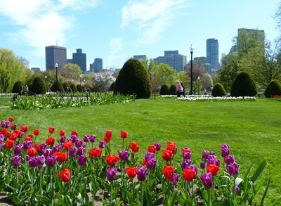 بوستون-باغ-بوستون-Boston-Public-Garden-212597