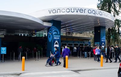 ونکوور-آکواریوم-ونکوور-Vancouver-Aquarium-213629