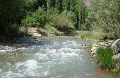 فیروزکوه-روستای-زرین-دشت-214351