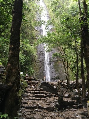 هاوایی-آبشار-مانوآ-Manoa-Falls-216530