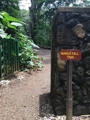 هاوایی-آبشار-مانوآ-Manoa-Falls-216526