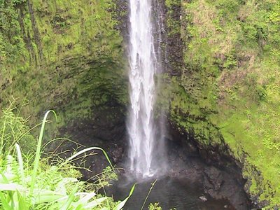 هاوایی-آبشار-مانوآ-Manoa-Falls-216529