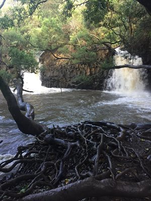 آبشار دوقلو مائوئی Twin Falls Maui