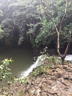 هاوایی-آبشار-دوقلو-مائوئی-Twin-Falls-Maui-216543
