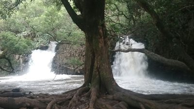 هاوایی-آبشار-دوقلو-مائوئی-Twin-Falls-Maui-216541