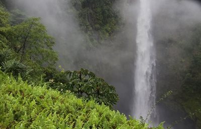 هاوایی-آبشار-آکاکا-Akaka-Falls-219771