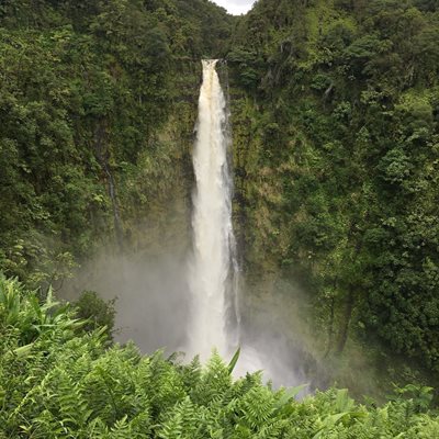 هاوایی-آبشار-آکاکا-Akaka-Falls-219779