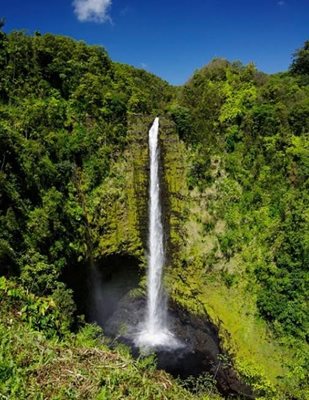 هاوایی-آبشار-آکاکا-Akaka-Falls-219784