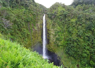 هاوایی-آبشار-آکاکا-Akaka-Falls-219785