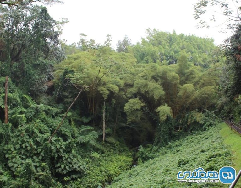 آبشار آکاکا Akaka Falls