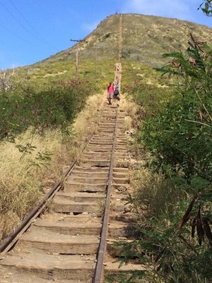 هاوایی-مسیر-راه-آهن-دهانه-آتشفشان-کوکو-Koko-Crater-Railway-Trail-219988