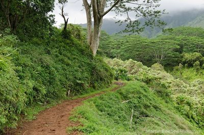 هاوایی-مسیر-کوهپیمایی-Kuilau-Ridge-Trail-221946