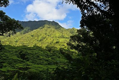 هاوایی-مسیر-کوهپیمایی-Kuilau-Ridge-Trail-221938