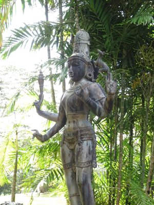 هاوایی-صومعه-هندو-کائوآئی-Kauai-s-Hindu-Monastery-221977