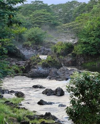 هاوایی-پارک-ملی-Wailuku-River-State-Park-222011